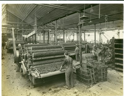 Salle de cardage, Long Meadow mill, 1923 - English Photographer